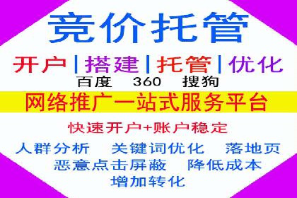 案例分析：SEM托管服务助力电商销量倍增